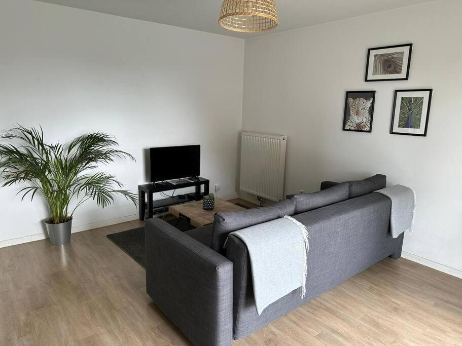 Appartement Proche Chu Avec Balcon Et Parking Lille Extérieur photo